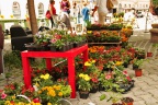 sm IMG 0765